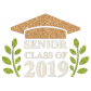 Senior Class Of 2019 Sparkle Glitter Transfer